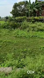 Land for sale in Tamkuhi Road