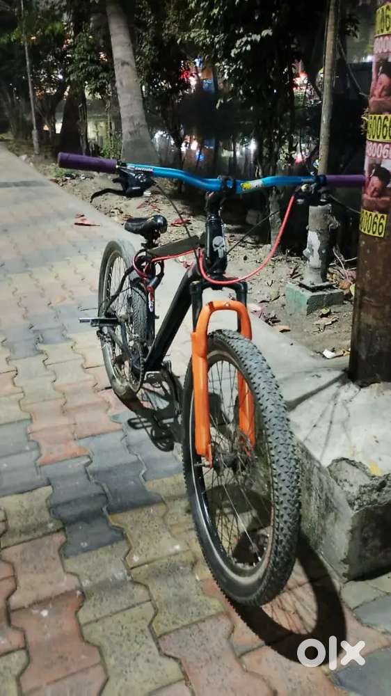 21 speed gear cycle (costom build)