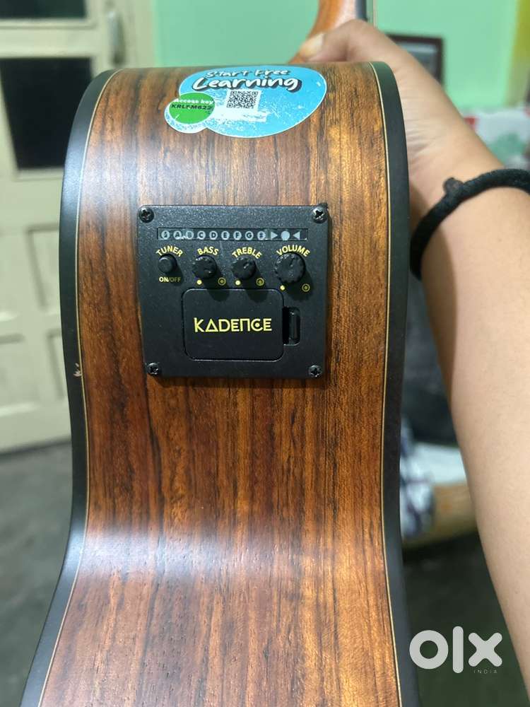 Acoustic Guitar