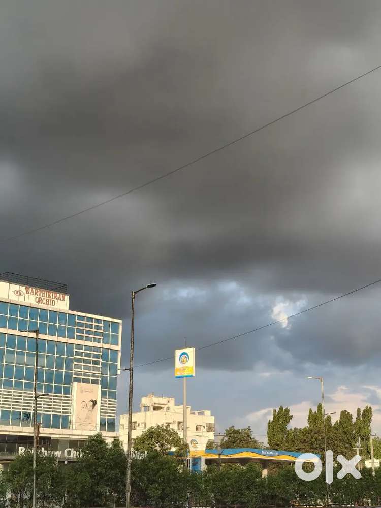 Need a Roomate - 1 Person