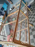 Cage for sale