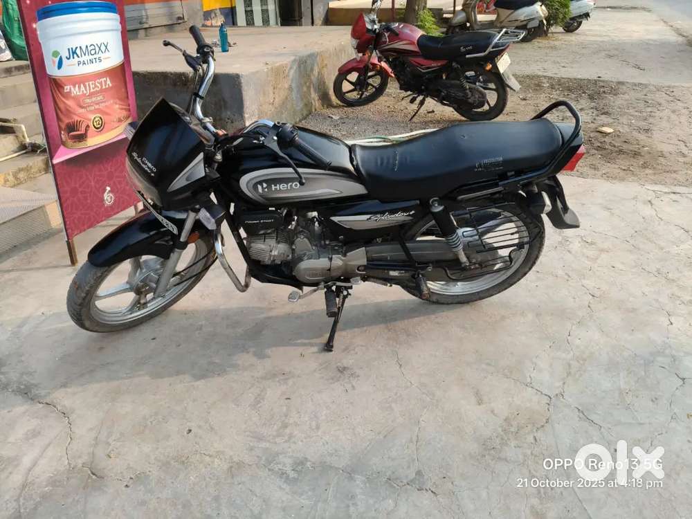 Sapleder plus 2022 model