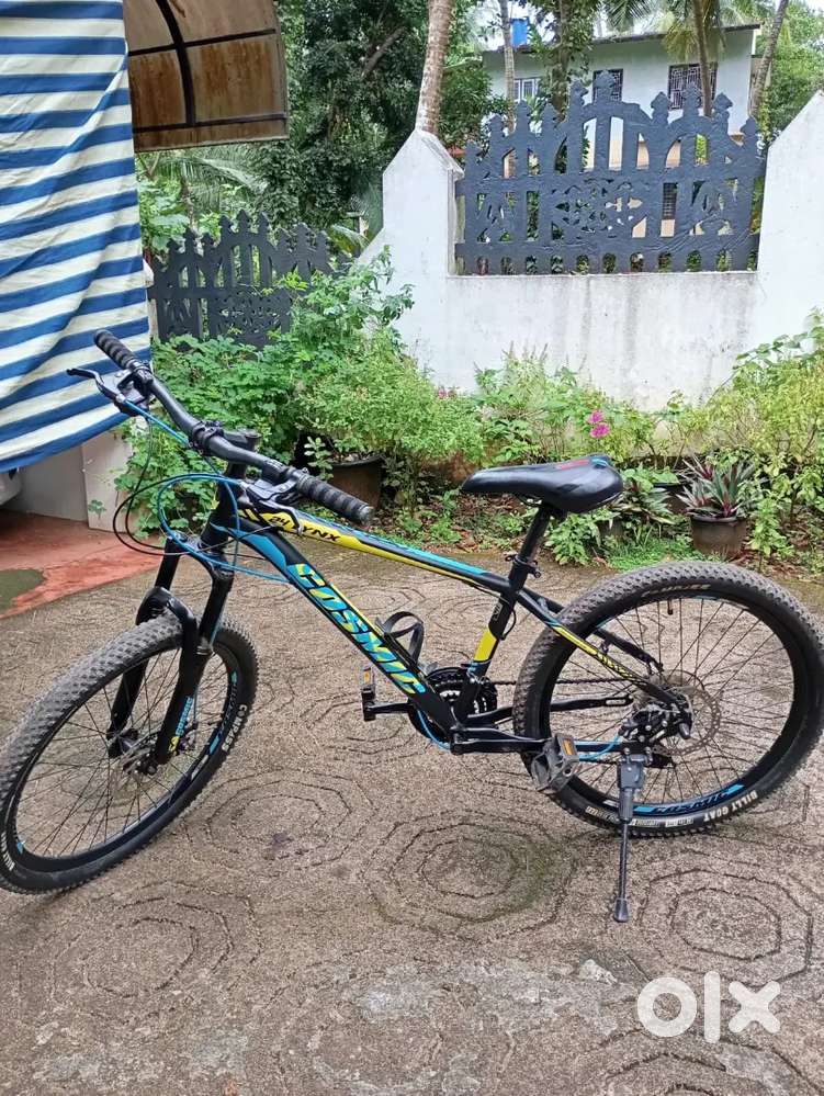 Cosmic lynx 24 inch