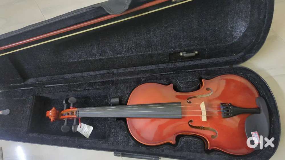 Indian Violin
