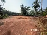 19.5 cnts Land with Well for Sale at Manjeshwar (19 kms frm Mangalore)