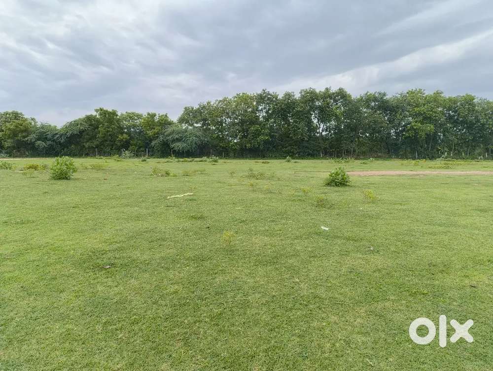 Vacant site for rental on outer ring road near juicy cafe