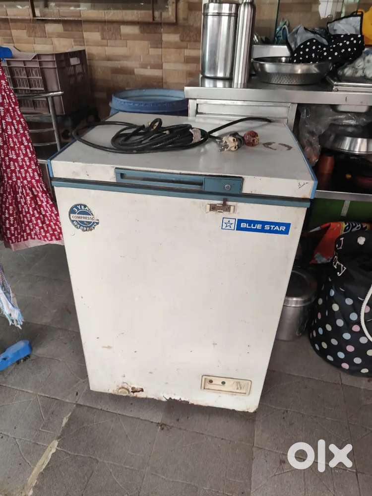 120 ltr Blue star deep freezer