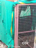 Dog net 100 kg