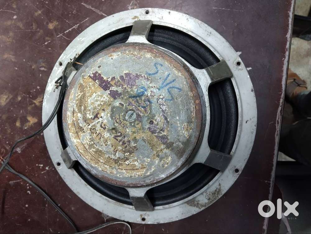 12 Inch speaker 8hom