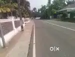 കോതമംഗലം ടൗൺ 50സെന്റ് 20സെന്റ് 10സെന്റ്