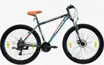 Mustang Front Suspension Dual Disc Brake Bike