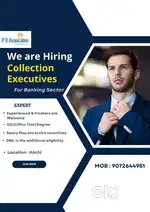 Collection Executives