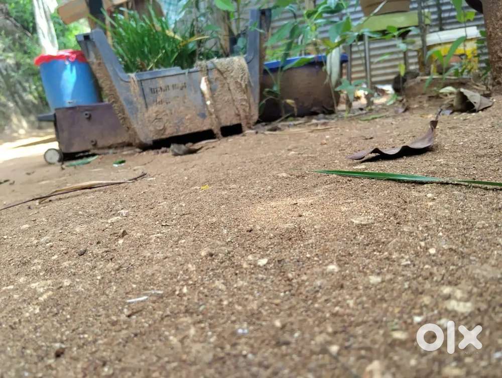 Eksoniya 15 Lessa land in Birubari Sankarpur