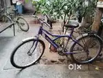 Three Bicycles