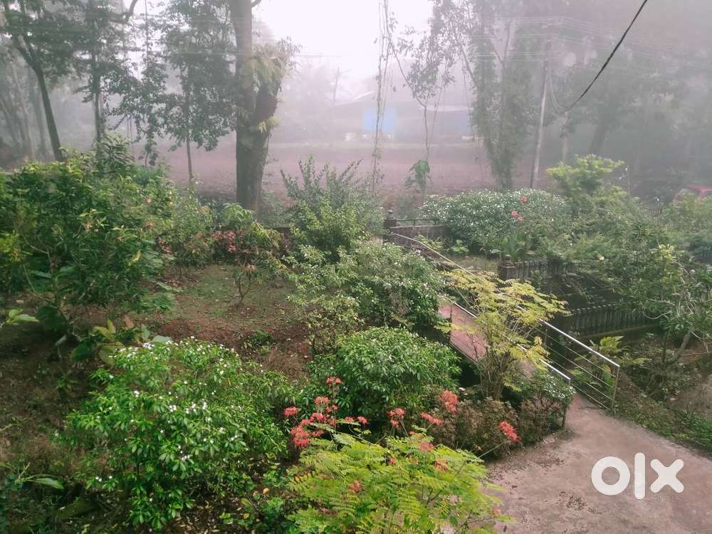 New Sangvi ,  old sangvi , pimple gurav all Properties avaialble