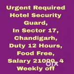 5 Star Hotel Security Guard Job Chandigarh 12
