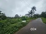 RESIDENTIAL LAND FOR SALE IN KAKKANAD PALLIKARA NEAR KIZHAKAMBALAM
