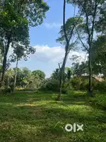 20 Cent Road Side Land For Sale only 10 Lakh  Tharuvana Mananthavady