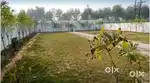 Gurgaon to sultanpur near KMP Expressway 1200Sq.Yrd 84lakh