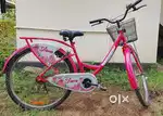 Ladybird cycle