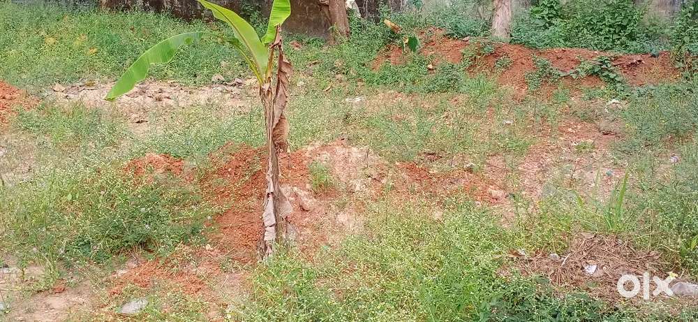 Nedupuzha Near Poly 9 Cent Plot for Sale Per Cent 5,50,000 Nagotiable