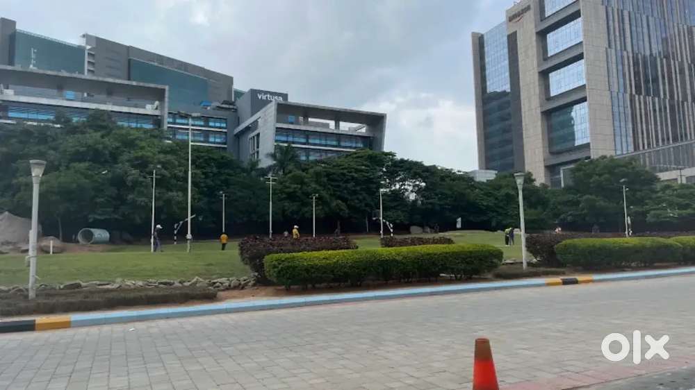 Female Front office and IT developers