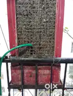 Sheetal company cooler