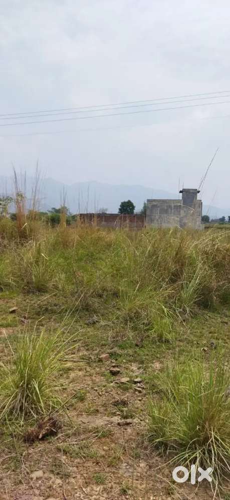 Sell of 3 biga plot