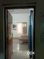 Looking for working ladies or students for rent