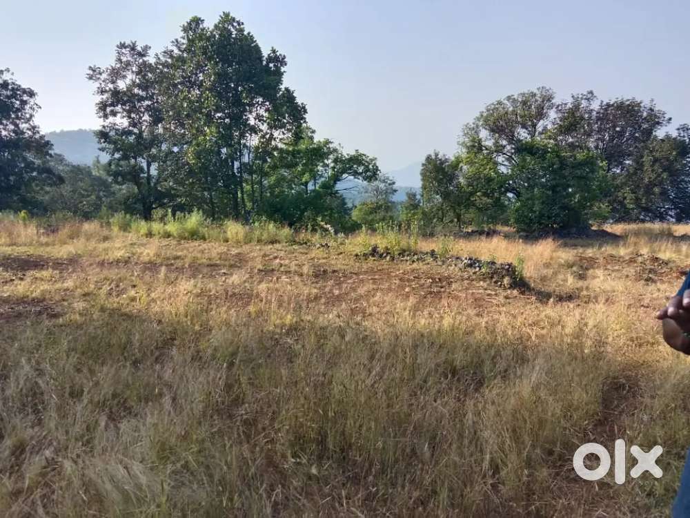 Agriculture land for sale raigad