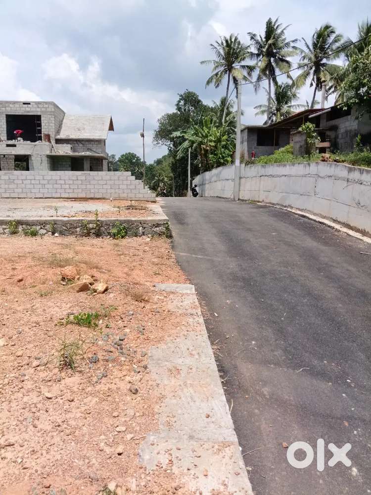 മനോഹരമായ ഹൗസ് പ്ലോട്ട്