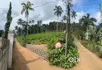 1.54 acres of land near Thannimoodu Jn. Murinjakal, Konni