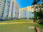 1bhk furnished flat for rent