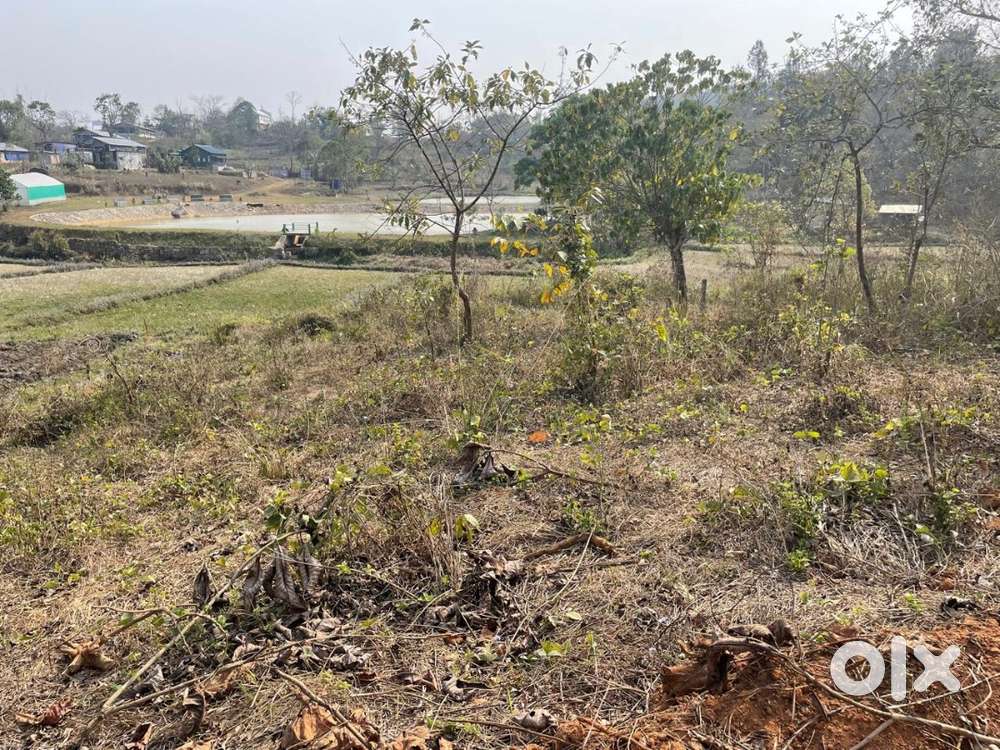 Land for sale at Lum Keni, Umsning
