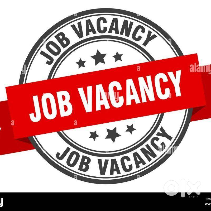 Required back office executives