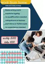 DATA ENTRY WORK ( PART TIME JOBS )