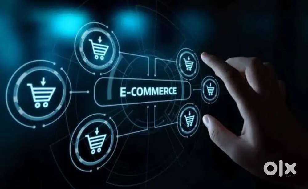 Need E - commerce business partner,  partnership