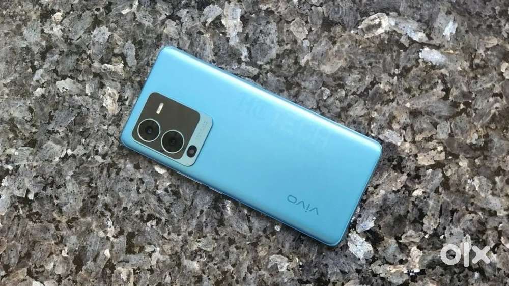 Vivo v25 pro
