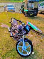 All Campany fiting