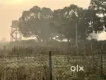 3000 Sqft Plot for Sale in Mandhar -  Prime Location!