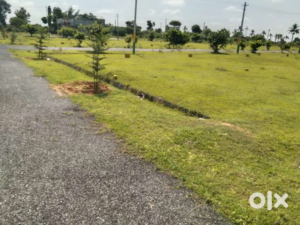 Plots for sale near gowribidnur from 10lakhs to 25lakhs