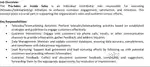 Inside Sales Executive (Female Only)