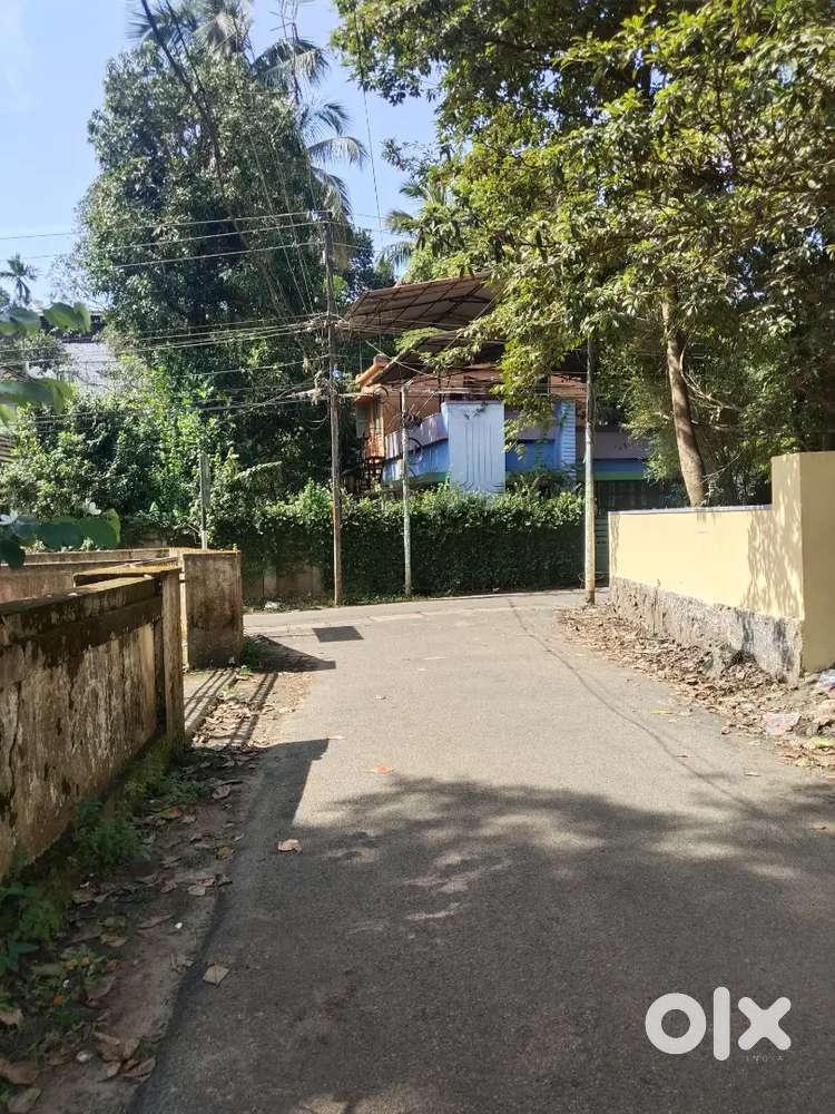 Thrissur East Fort near jubilee mission hospital 10 cent plot sale