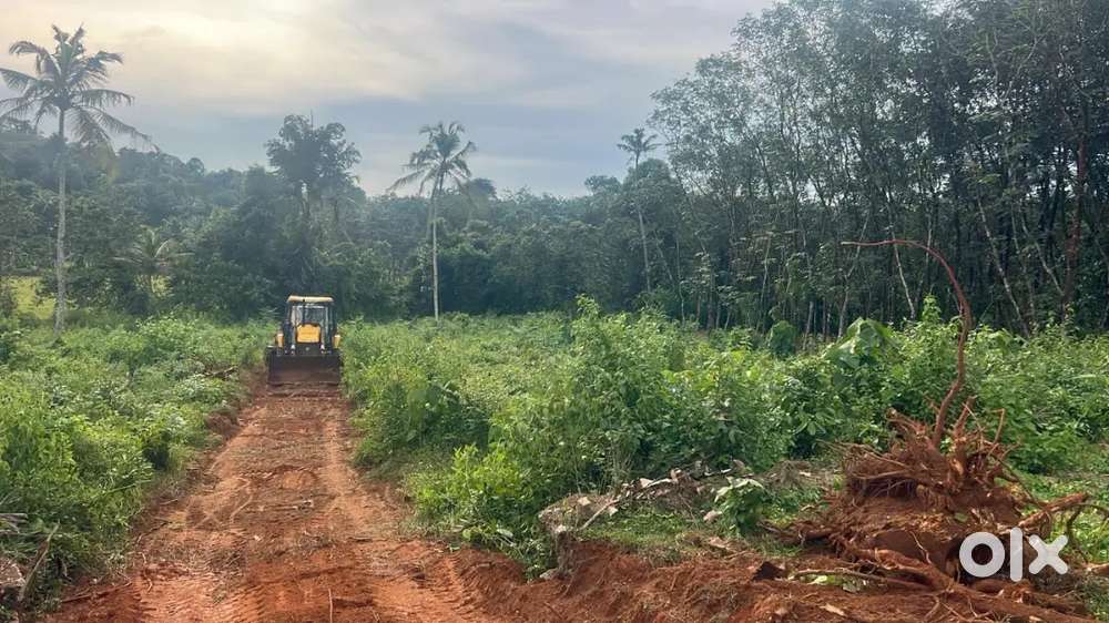 Residential plots for sale at Ullannoor,Kulanada ,Pandalam