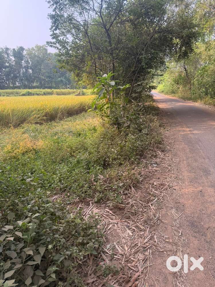 Main road side balijoda