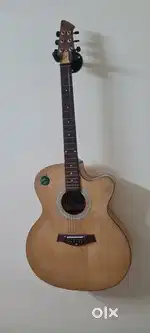 Pleasure Guitar two years old