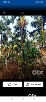 36 cence plain land for sale