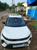 Tata Nexon 2024 Petrol Well Maintained