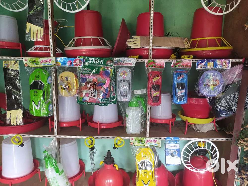Poultry and stationery shop selling