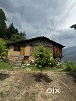 50 years old house for lease